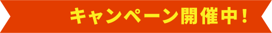 キャンペーン開催中！