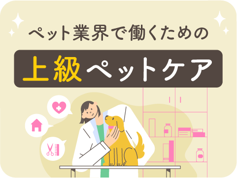 上級ペットケアアドバイザー