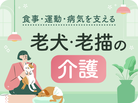 動物介護士＆動物介護ホーム施設責任者